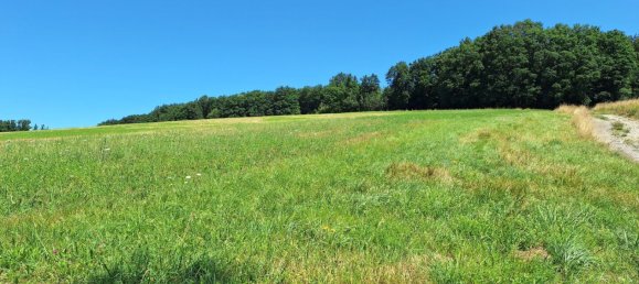  Land in Maria Anzbach, Austria No. 126691 8