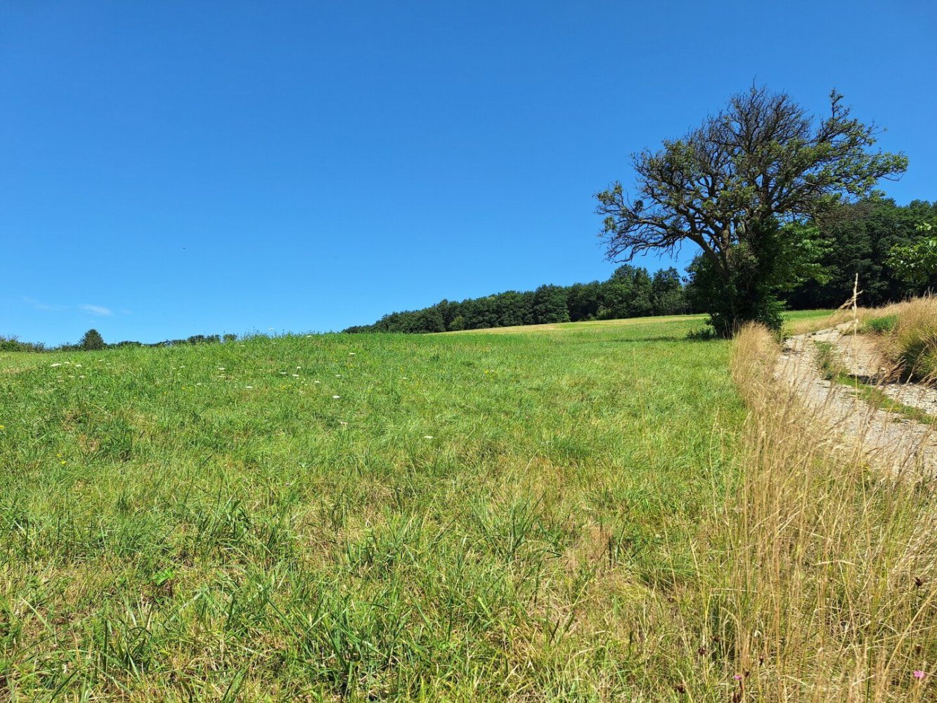  Land in Maria Anzbach, Austria No. 126691