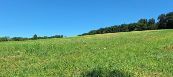  Land in Maria Anzbach, Austria No. 126691 7