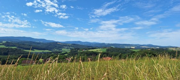  Land in Maria Anzbach, Austria No. 126691 5