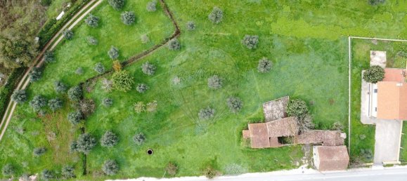 3 bedrooms House in Penela, Portugal No. 36906 4