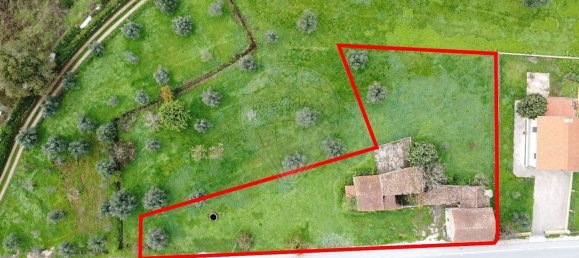 3 bedrooms House in Penela, Portugal No. 36906 5