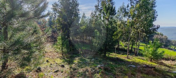 Casa de 1 dormitorio en Macieira de Cambra, Portugal No. 47193 7