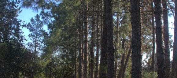 4 chambres Maison à Valls, Spain No. 293684 24