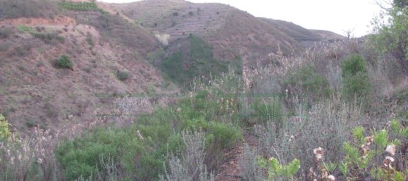  قطعة أرض في Azinhal, Portugal 13000متر مربع رقم 69782 2