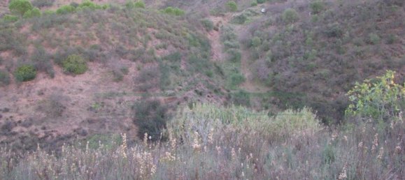  قطعة أرض في Azinhal, Portugal 13000متر مربع رقم 69782 30