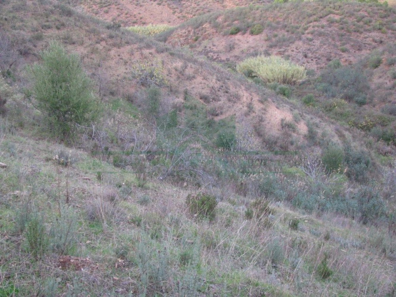  قطعة أرض في Azinhal, Portugal 13000متر مربع رقم 69782