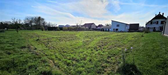 Land in Burnhaupt-le-Haut, France No. 329421 2