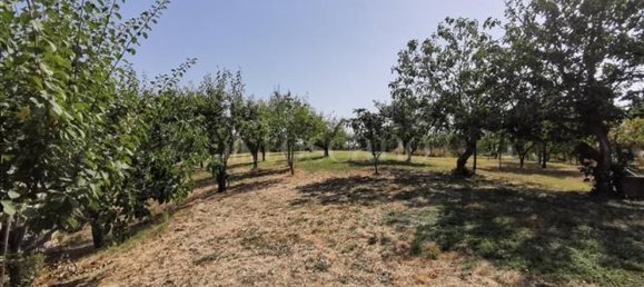 5 rooms Apartment in Sovicille, Italy No. 177371 27