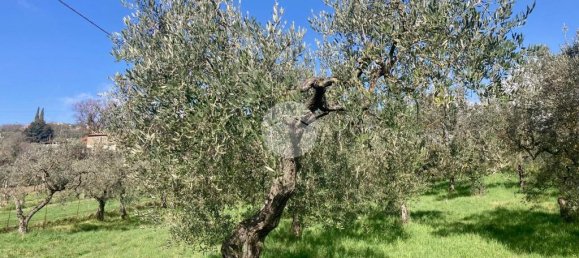 5460m² Land in Terni, Italy No. 264034 15