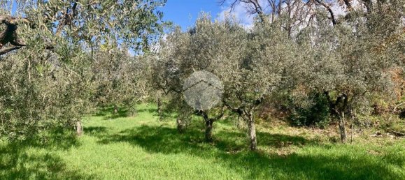 5460m² Land in Terni, Italy No. 264034 9