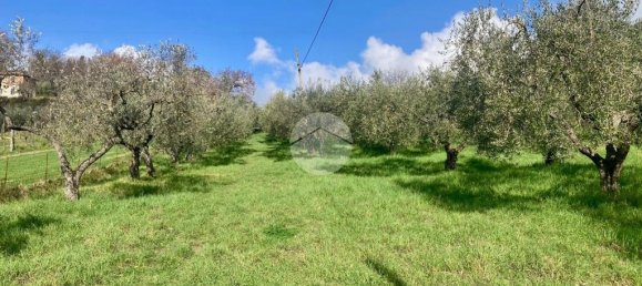 5460m² Land in Terni, Italy No. 264034 19