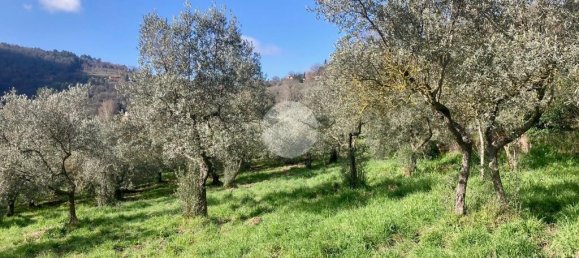 5460m² Land in Terni, Italy No. 264034 25