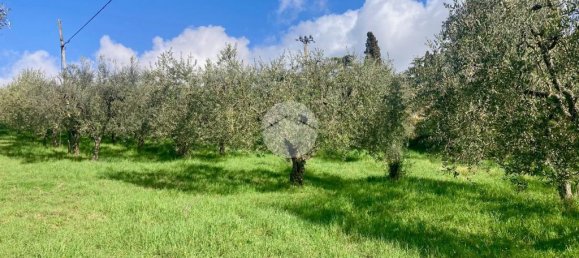 5460m² Land in Terni, Italy No. 264034 18