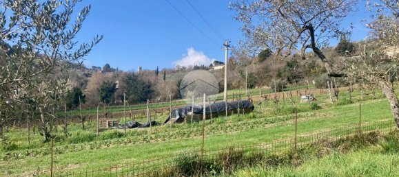 5460m² Land in Terni, Italy No. 264034 4