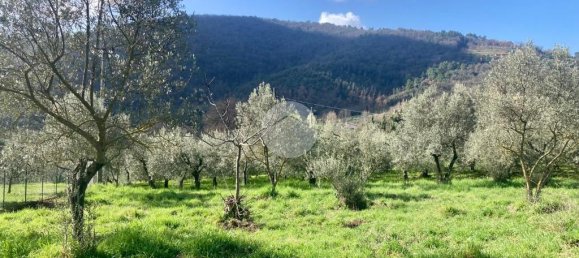 5460m² Land in Terni, Italy No. 264034 16
