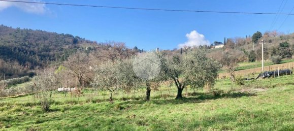 5460m² Land in Terni, Italy No. 264034 13