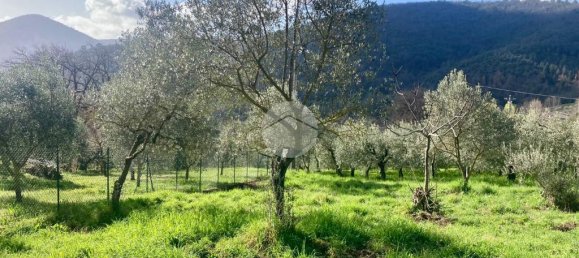 5460m² Land in Terni, Italy No. 264034 7