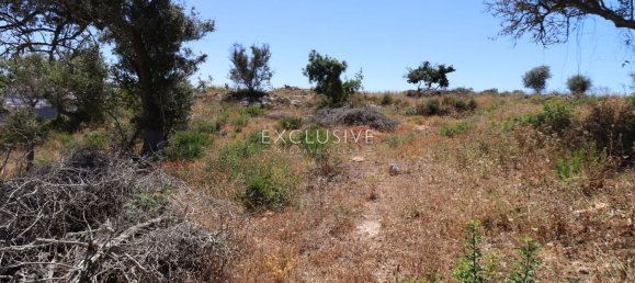 2140m² Land in Lagoa, Portugal No. 117959 26