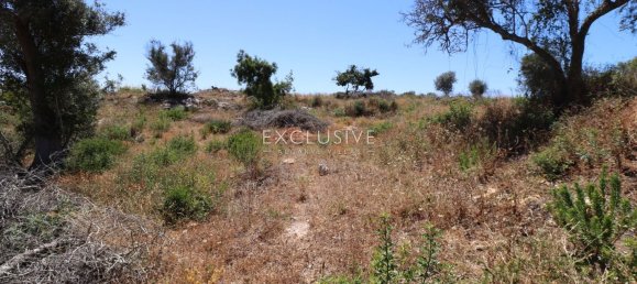 2140m² Land in Lagoa, Portugal No. 117959 25