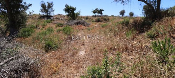 2140m² Land in Lagoa, Portugal No. 117959 16