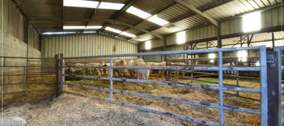 Casa T4 em Chazemais, France N.º 207071 16