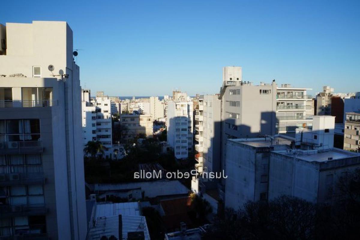 استوديو في Montevideo, Uruguay رقم 4012