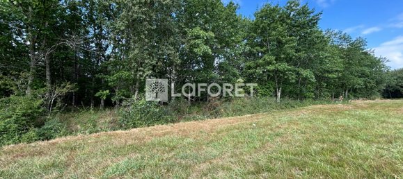  Land in Villemur-sur-Tarn, France No. 293925 2
