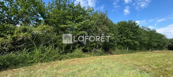  Land in Villemur-sur-Tarn, France No. 293925 4