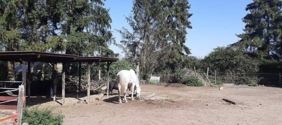 4-salle Ferme à Vorpommern-Greifswald, Germany No. 324184 7
