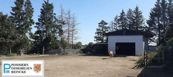 4-salle Ferme à Vorpommern-Greifswald, Germany No. 324184 8