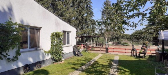 4-salle Ferme à Vorpommern-Greifswald, Germany No. 324184 3