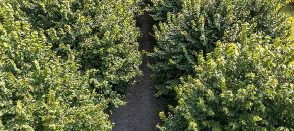 9-salle Villa à Albiolo, Italy No. 71589 16