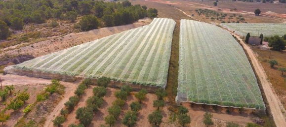 Propriété commerciale à Monovar, Spain 450m² No. 105987 4