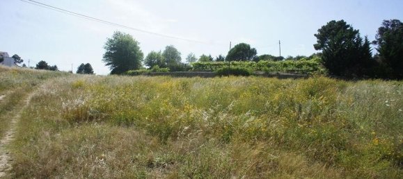 21536m² Land in Chaves, Portugal No. 140008 18