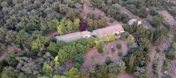 Gewerbliche Immobilien in Corfu, Greece 962m², Nr. 3714 2