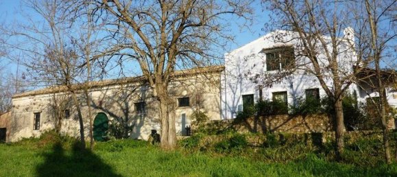 Gewerbliche Immobilien in Corfu, Greece 962m², Nr. 3714 3