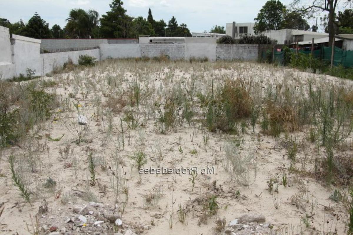 Земельный участок в Канелонес, Уругвай № 15977