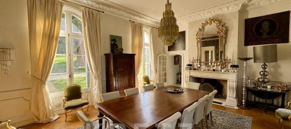  Castillos de 10 dormitorios en Ballan-Mire, France No. 334431 4