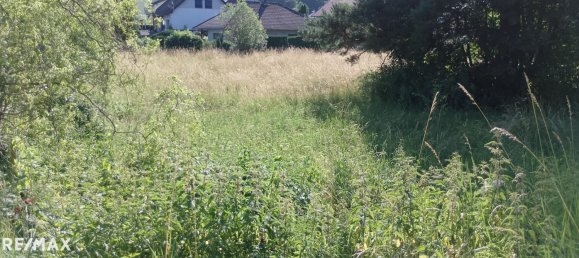 Terreno em Heiligenkreuz, Austria N.º 128385 3