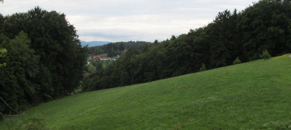 3 bedrooms House in Deutschlandsberg, Austria No. 208145 24