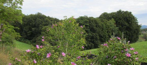 3 bedrooms House in Deutschlandsberg, Austria No. 208145 23