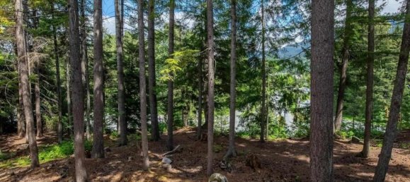 3 bedrooms House in British Columbia, Canada No. 184 7