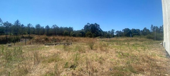 5186m² Land in Valongo, Portugal No. 233631 6