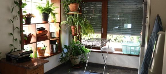 5 bedrooms House in Bornes de Aguiar, Portugal No. 143963 20