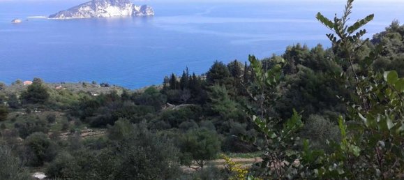 terreno en venta en Zakynthos, Ionian Islands, Peloponnese, Western Greece and the Ionian, Greece № 545 4
