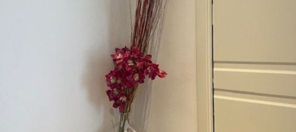 5 غرف نوم منزل في Paese, Italy رقم 344136 11