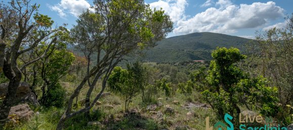 3 غرف نوم منزل في Olbia, Italy رقم 340775 30