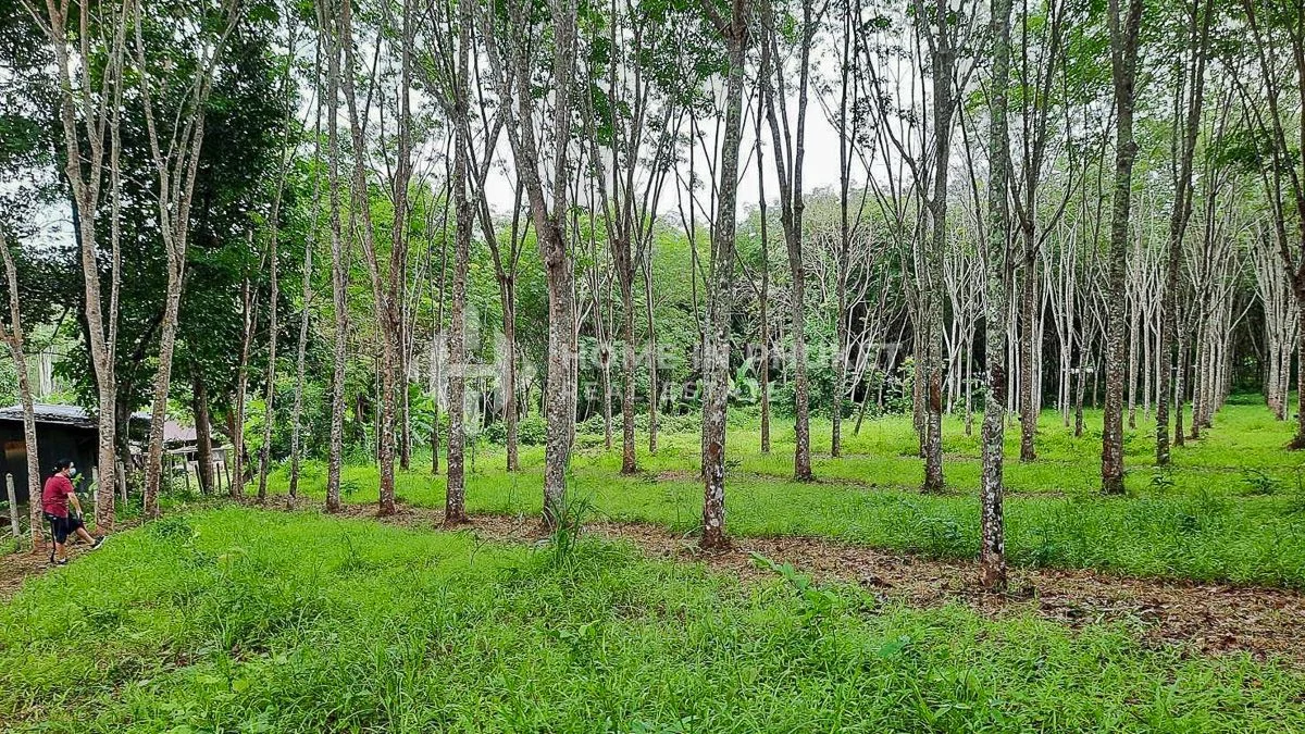 terrain à vendre à Phuket, Southern Thailand, Thailand № 60498