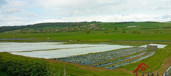 3 bedrooms House in Vittel, France No. 62527 11